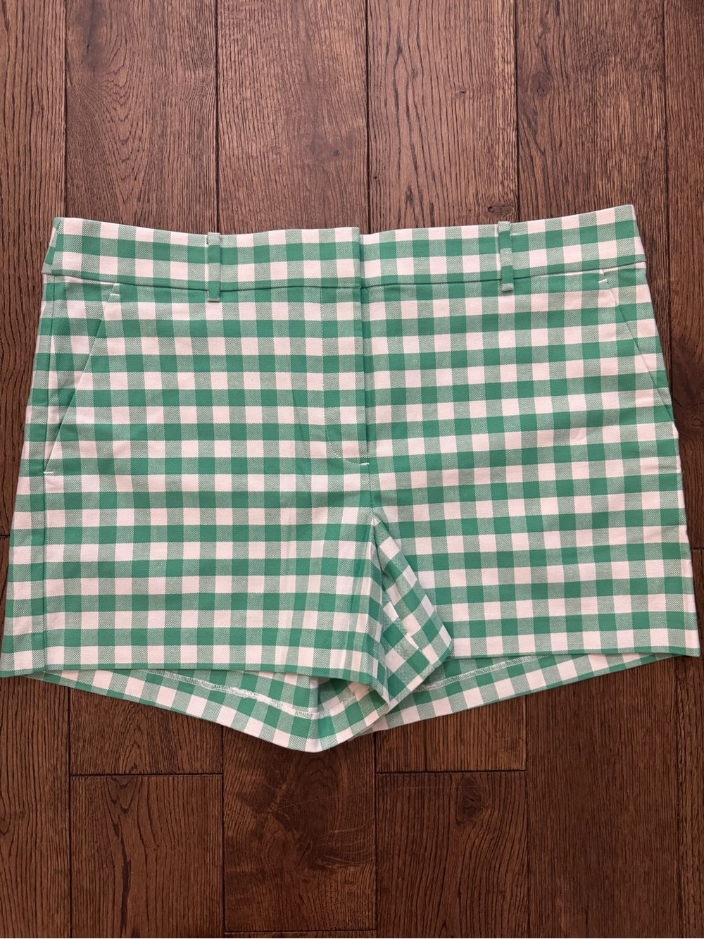 Loft Riviera Green and White Gingham Women’s Shorts